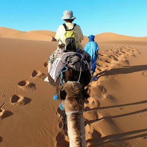 Enchanted Moroccan  Journey